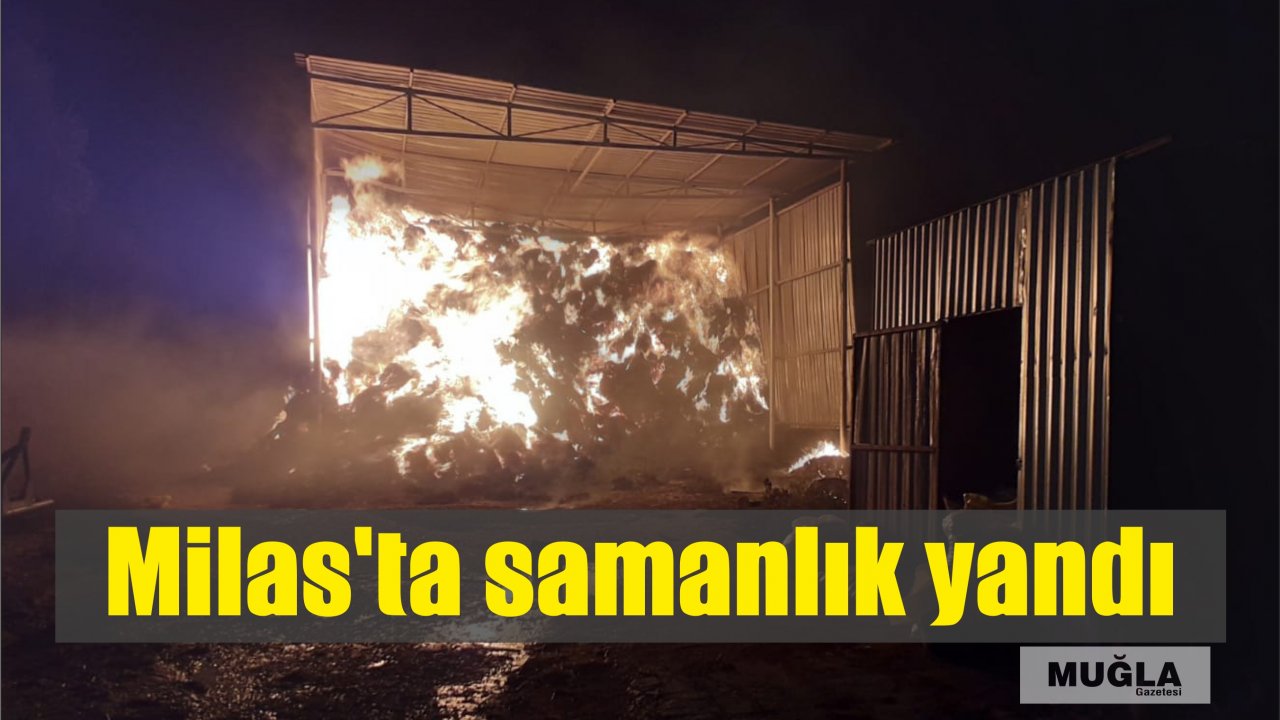 Milas'ta samanlık yandı