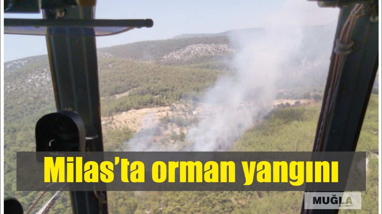 Milas’ta orman yangını