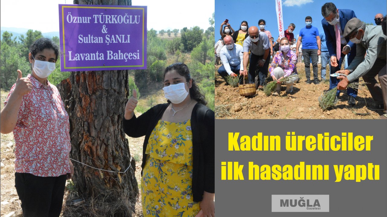 Kadın üreticiler ilk hasadını yaptı