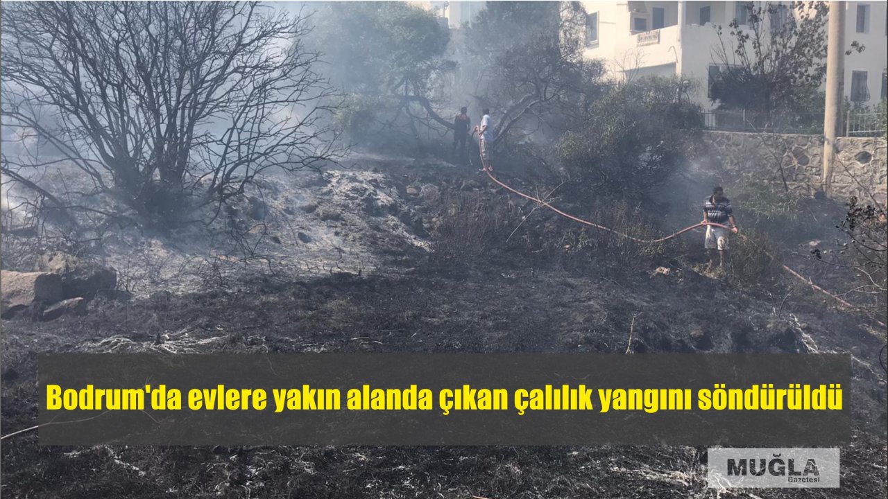 Bodrum'da evlere yakın alanda çıkan çalılık yangını söndürüldü