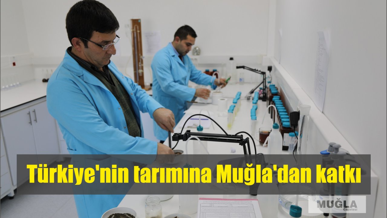 Türkiye’nin tarımına Muğla’dan katkı 