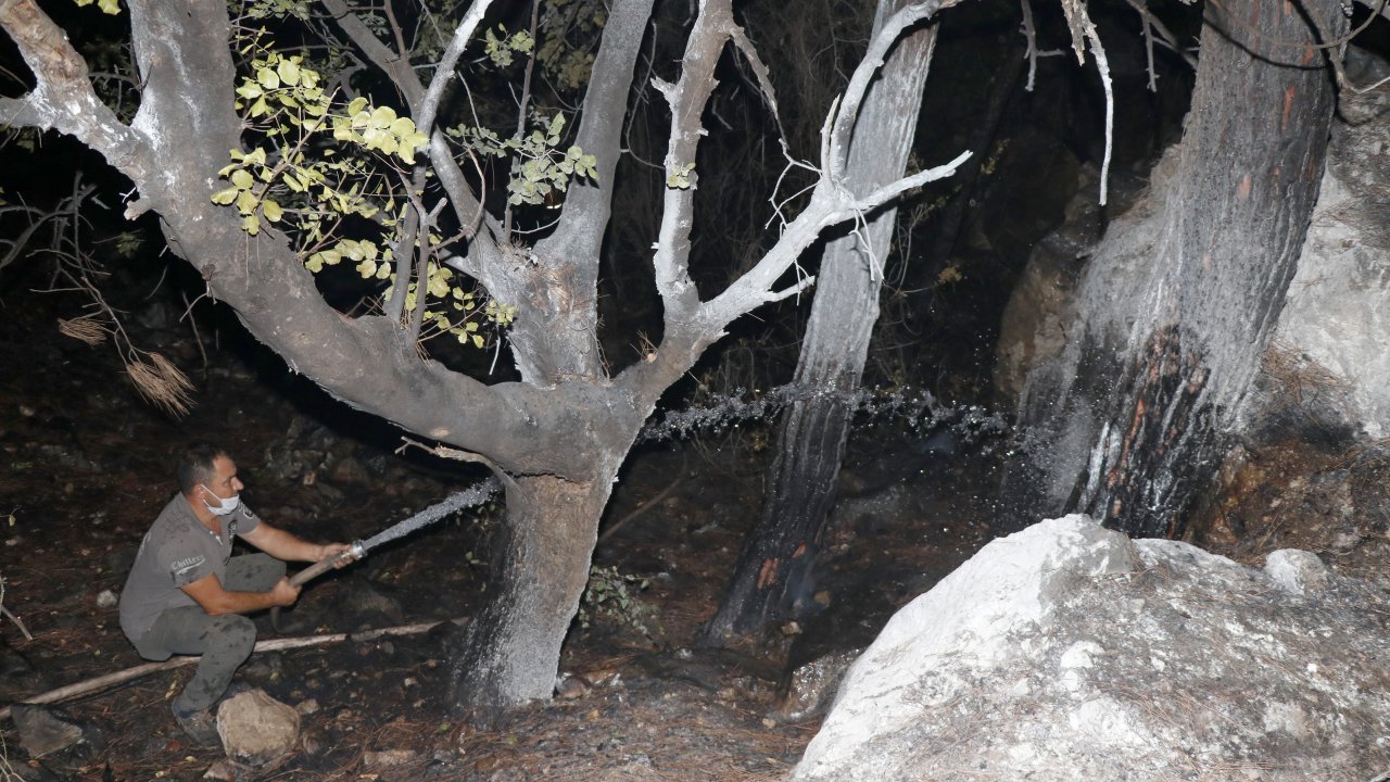 Yangında 1 hektar alan zarar gördü