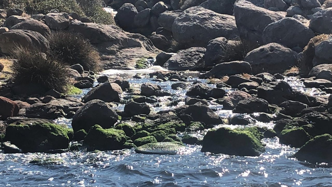 Bodrum'da denize atık su salındığı iddia edildi