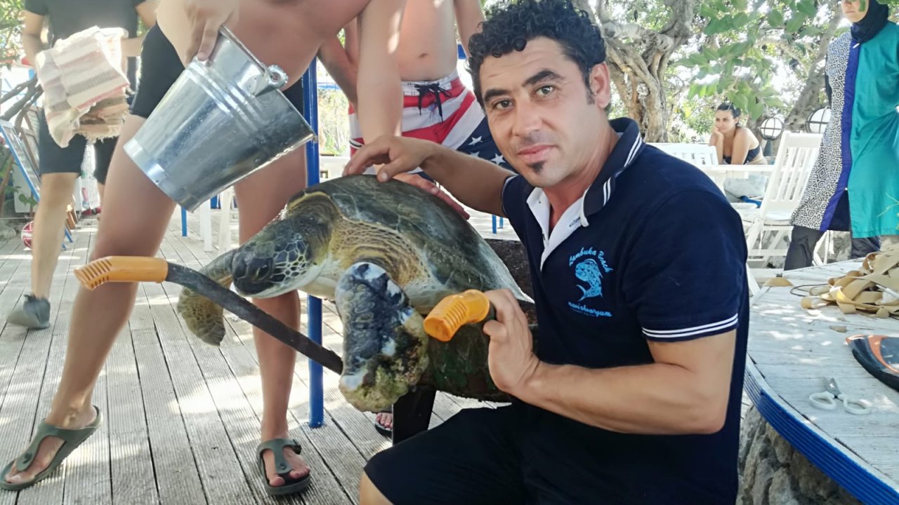 Marmaris'te yüzgecine misina dolanan caretta caretta kurtarıldı