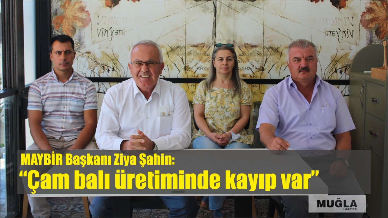 MAYBİR Başkanı Ziya Şahin:  “Çam balı üretiminde kayıp var”