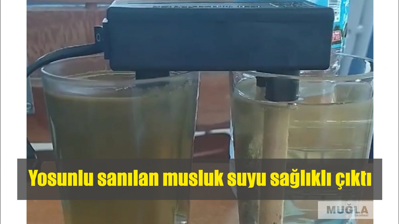 Yosunlu sanılan musluk suyu sağlıklı çıktı