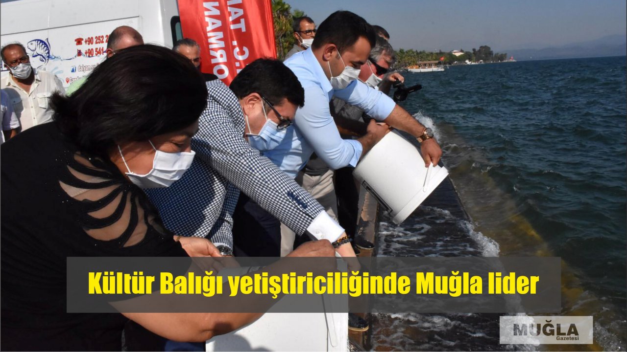 Kültür Balığı yetiştiriciliğinde Muğla lider