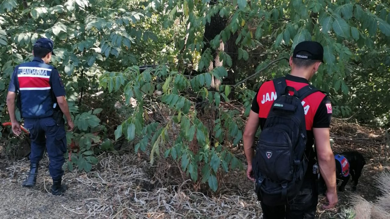 Ormanda kaybolan kadın aranıyor