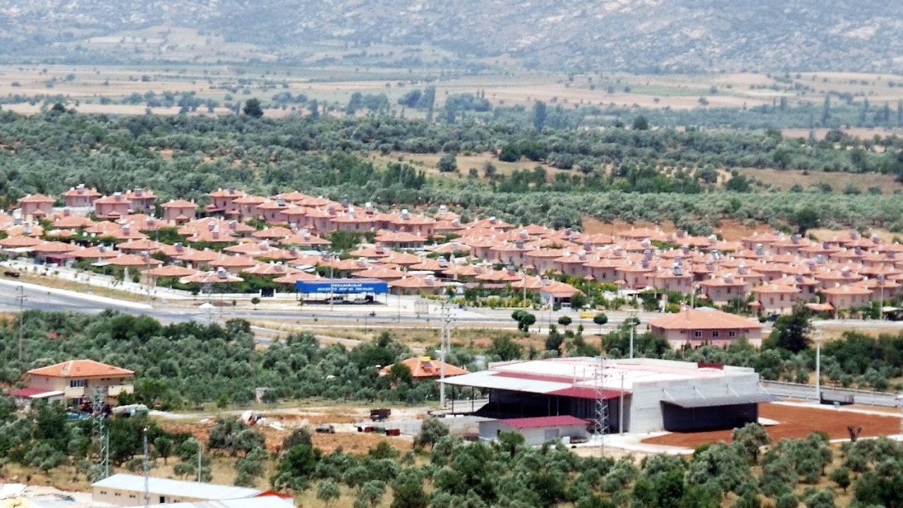 Yeşilbağcıların Kötü Kaderi