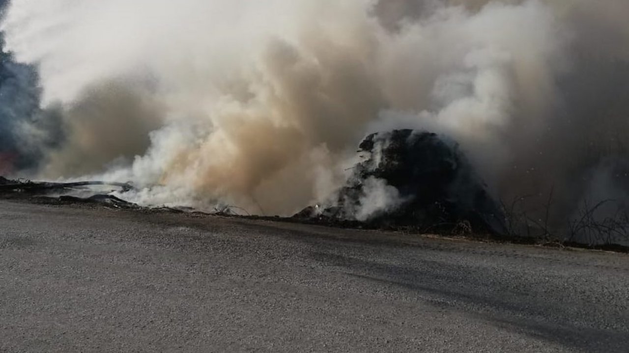 Muğla'da çöplük ve sazlık alanda çıkan yangın söndürüldü