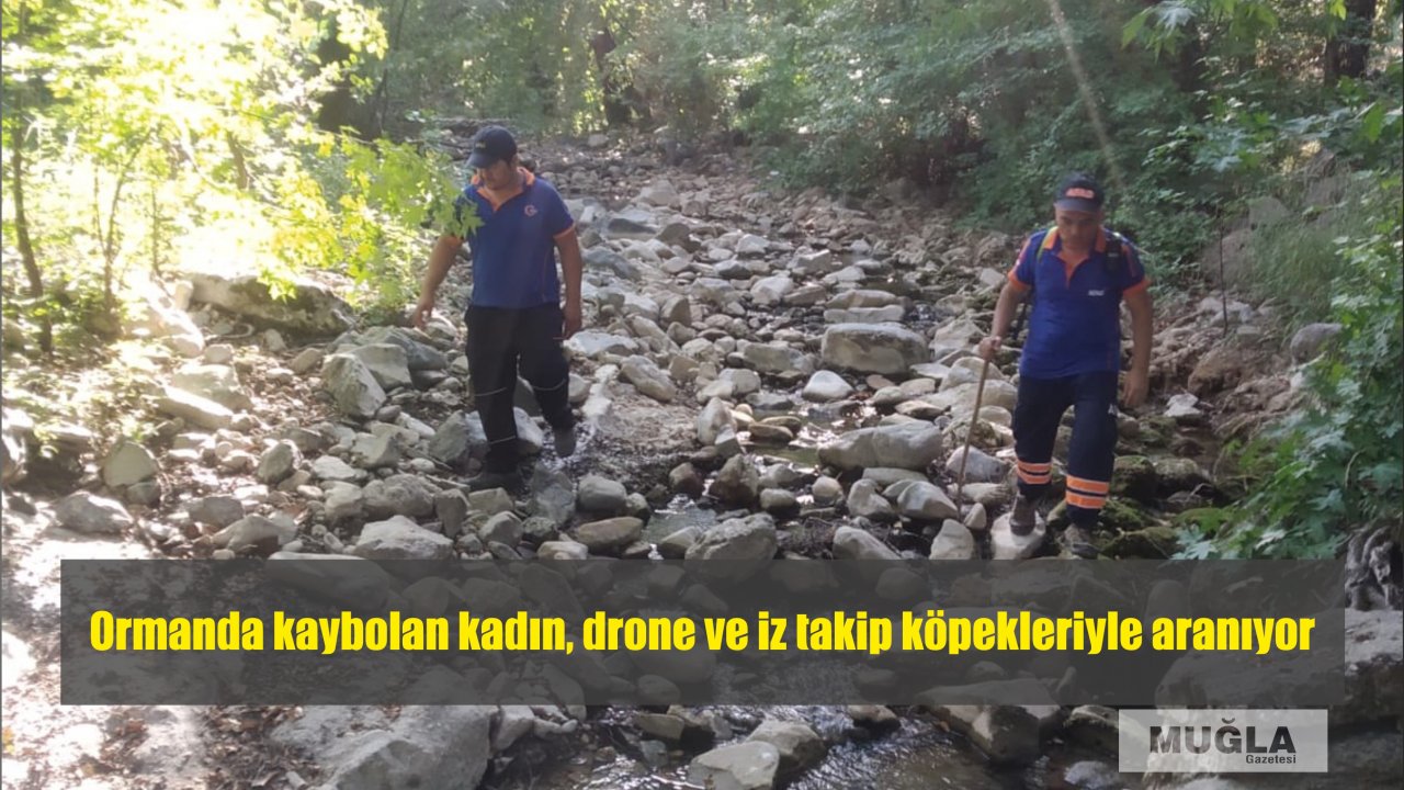 Muğla'da ormanda kaybolan kadın, drone ve iz takip köpekleriyle aranıyor