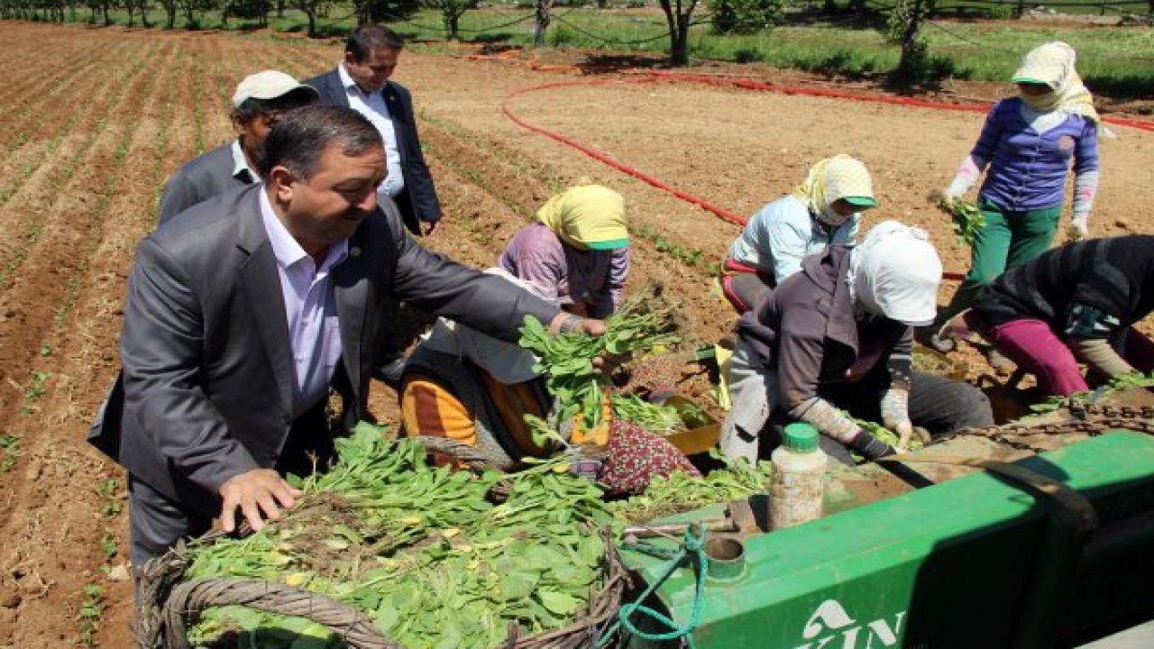 Baştuğ çiftçi bayramını çiftçinin ayağına giderek kutladı