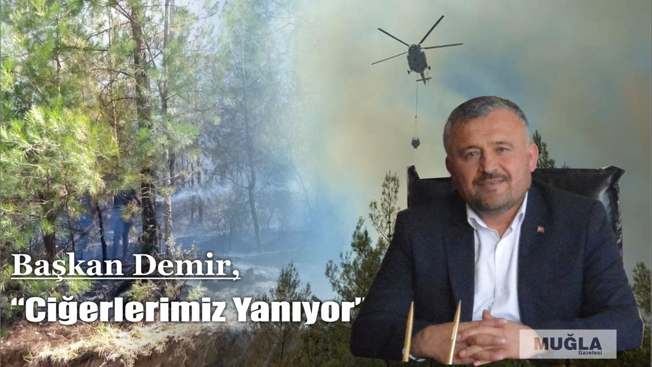 Başkan Demir,  “Ciğerlerimiz Yanıyor”