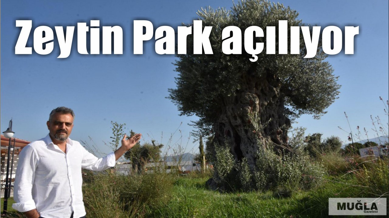 Zeytin Park açılıyor 