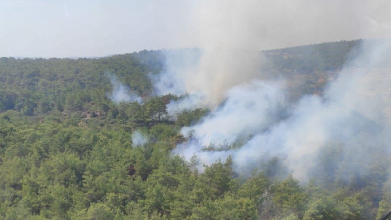 Orman yangınına hava ve karadan müdahale ediliyor