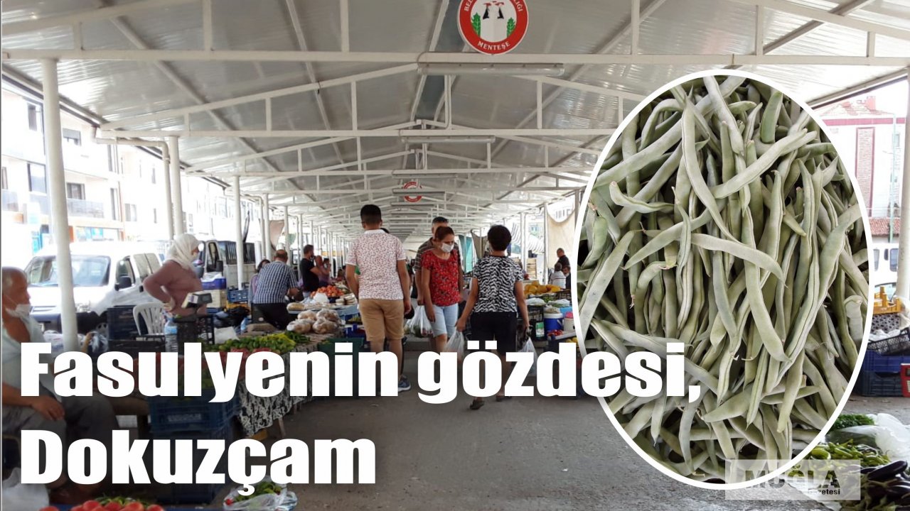 Fasulyenin gözdesi, Dokuzçam