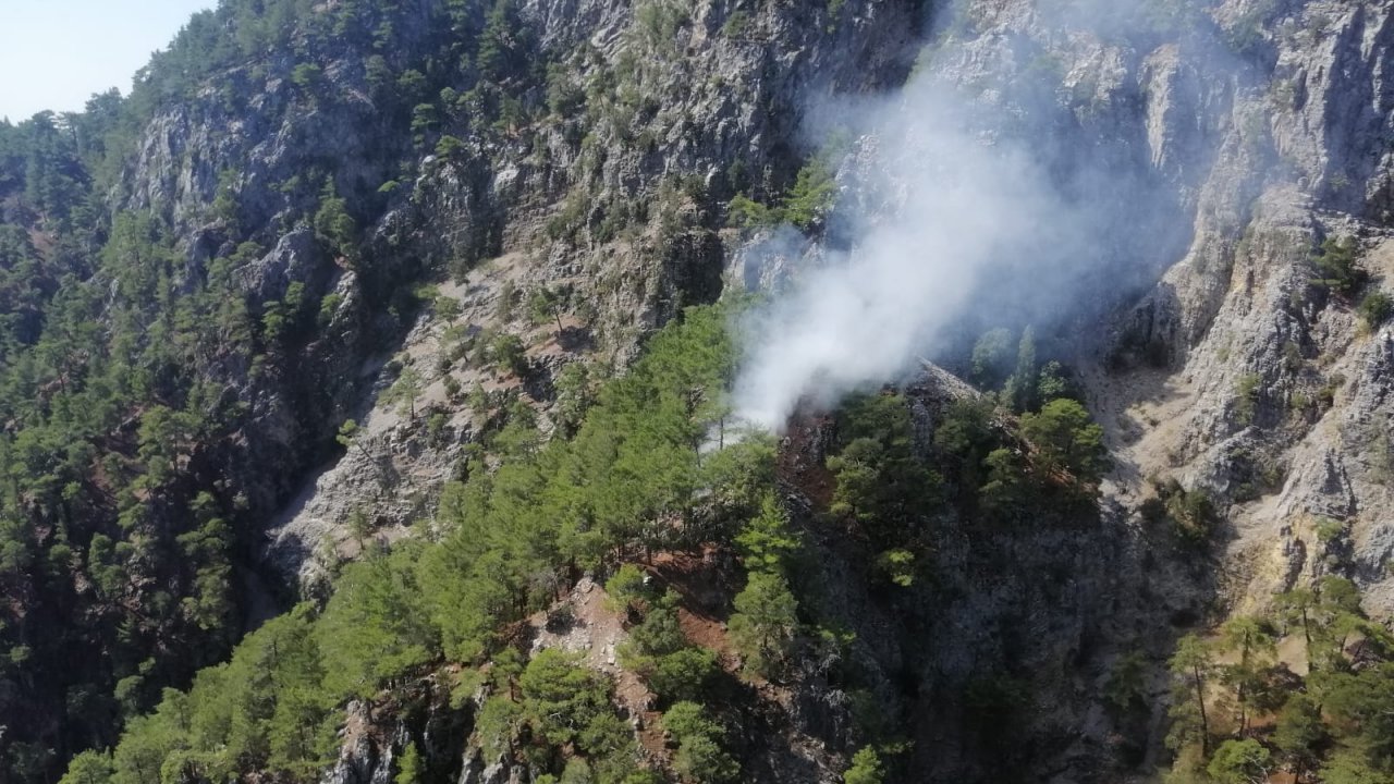 Muğla'da çıkan orman yangını kontrol altına alınmaya çalışılıyor