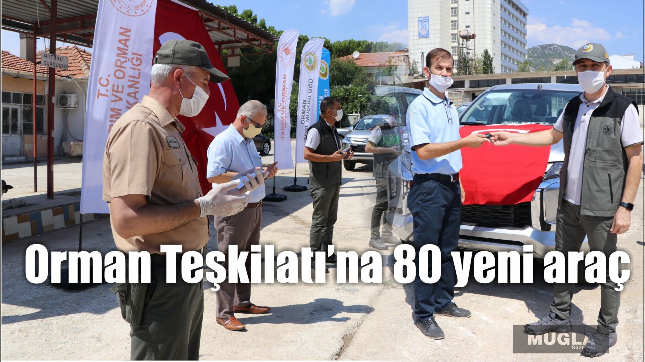 Orman Teşkilatı’na 80 yeni araç