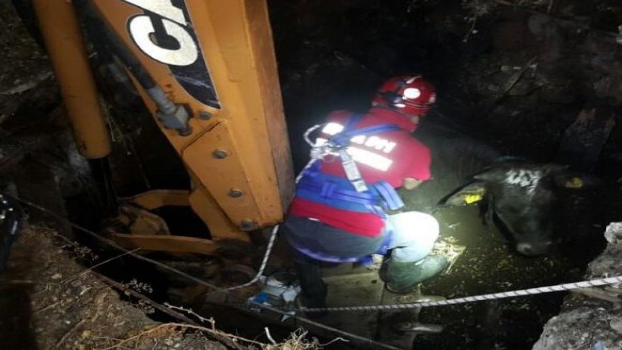 İtfaiye ekipleri kuyuya düşen inek için seferber oldular