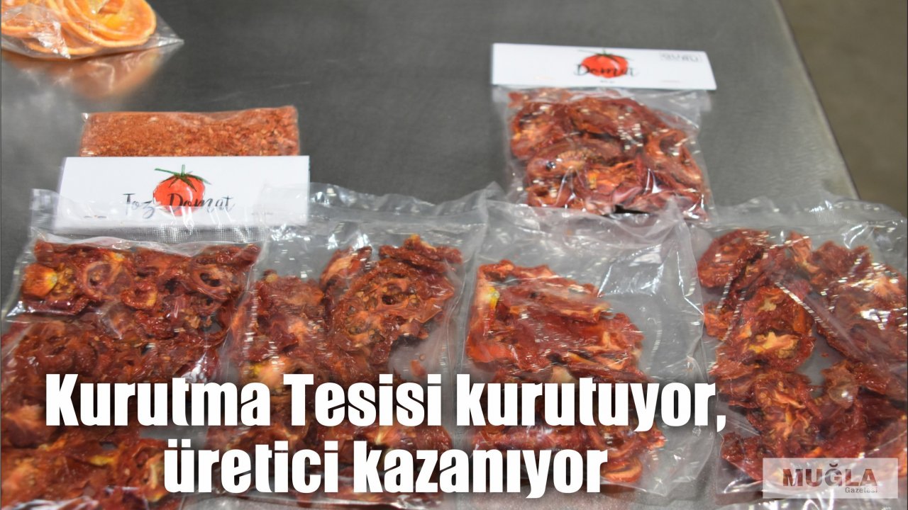 Kurutma Tesisi kurutuyor, üretici kazanıyor