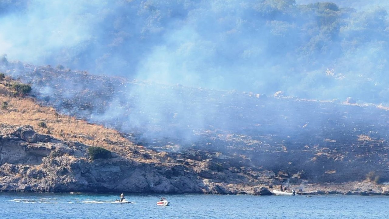 Bodrum'da Büyük Ada'da çıkan yangın söndürüldü