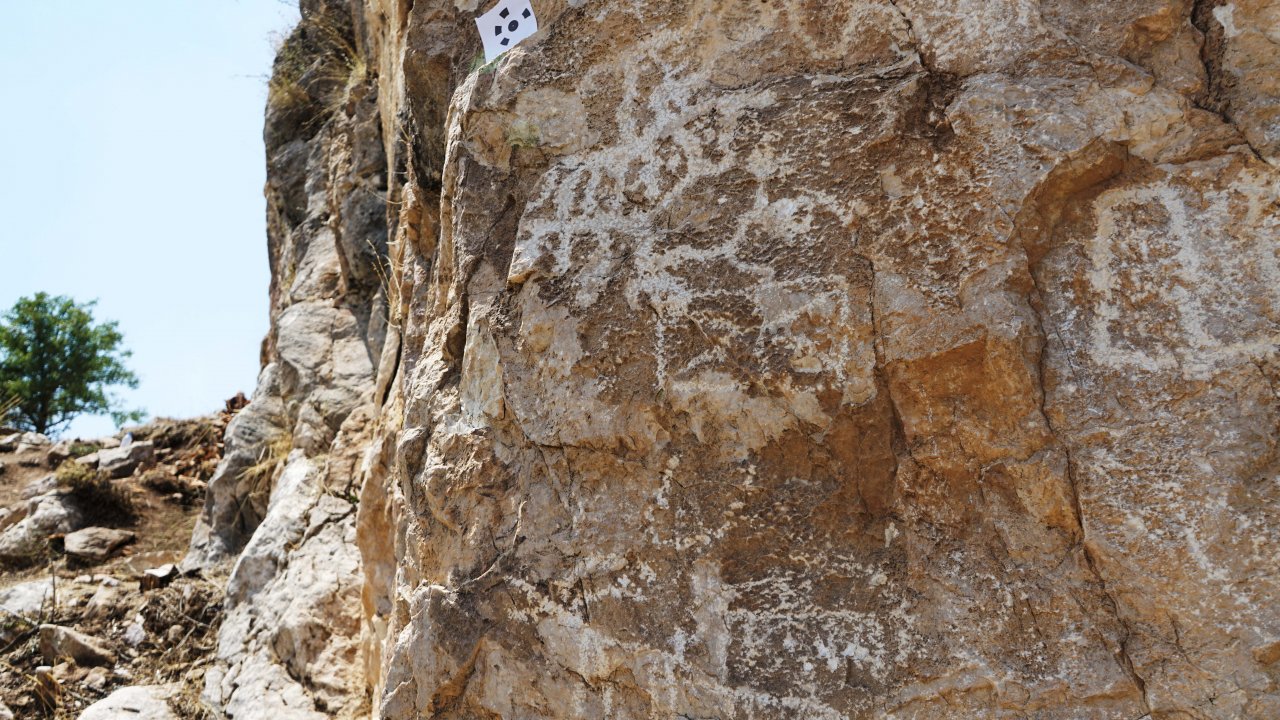 Çobanın bulduğu kaya resimleri üzerinde çalışmalar sürüyor