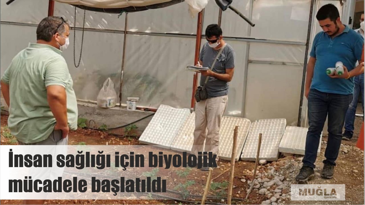 İnsan sağlığı için biyolojik mücadele başlatıldı