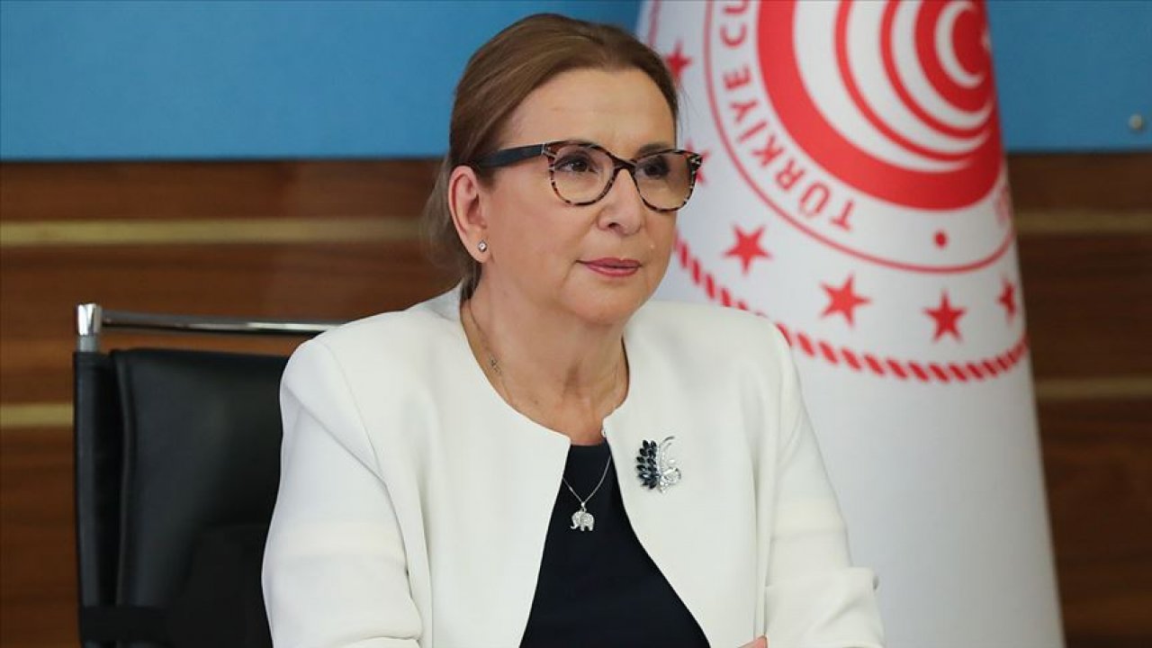 Bakan Pekcan: Kullandırılan kredi 67 milyar liraya, desteklenen esnaf sayısı 1,1 milyona ulaştı