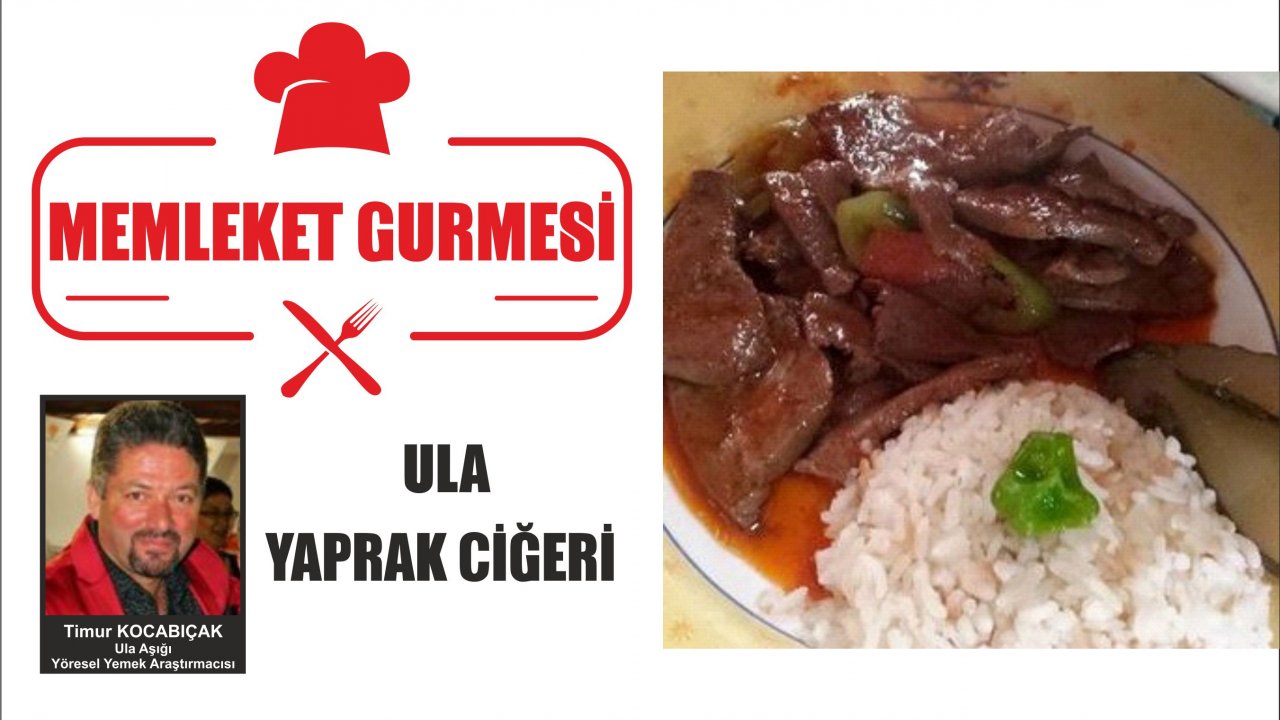  ULA YAPRAK CİĞERİ