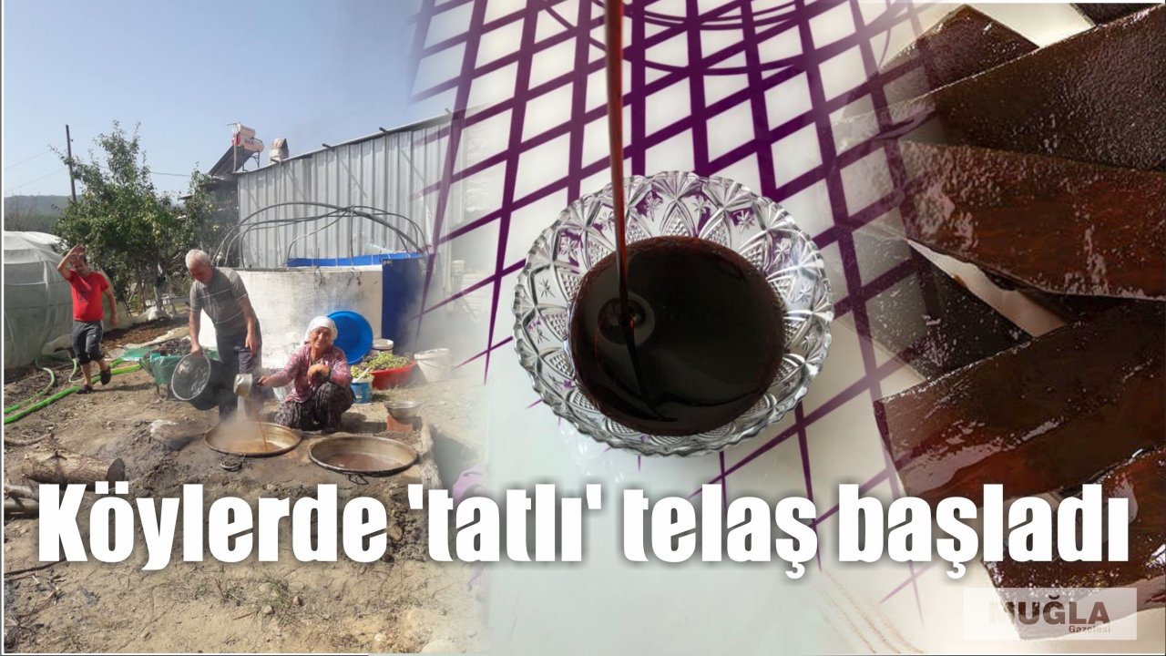 Köylerde ‘tatlı’ telaş başladı