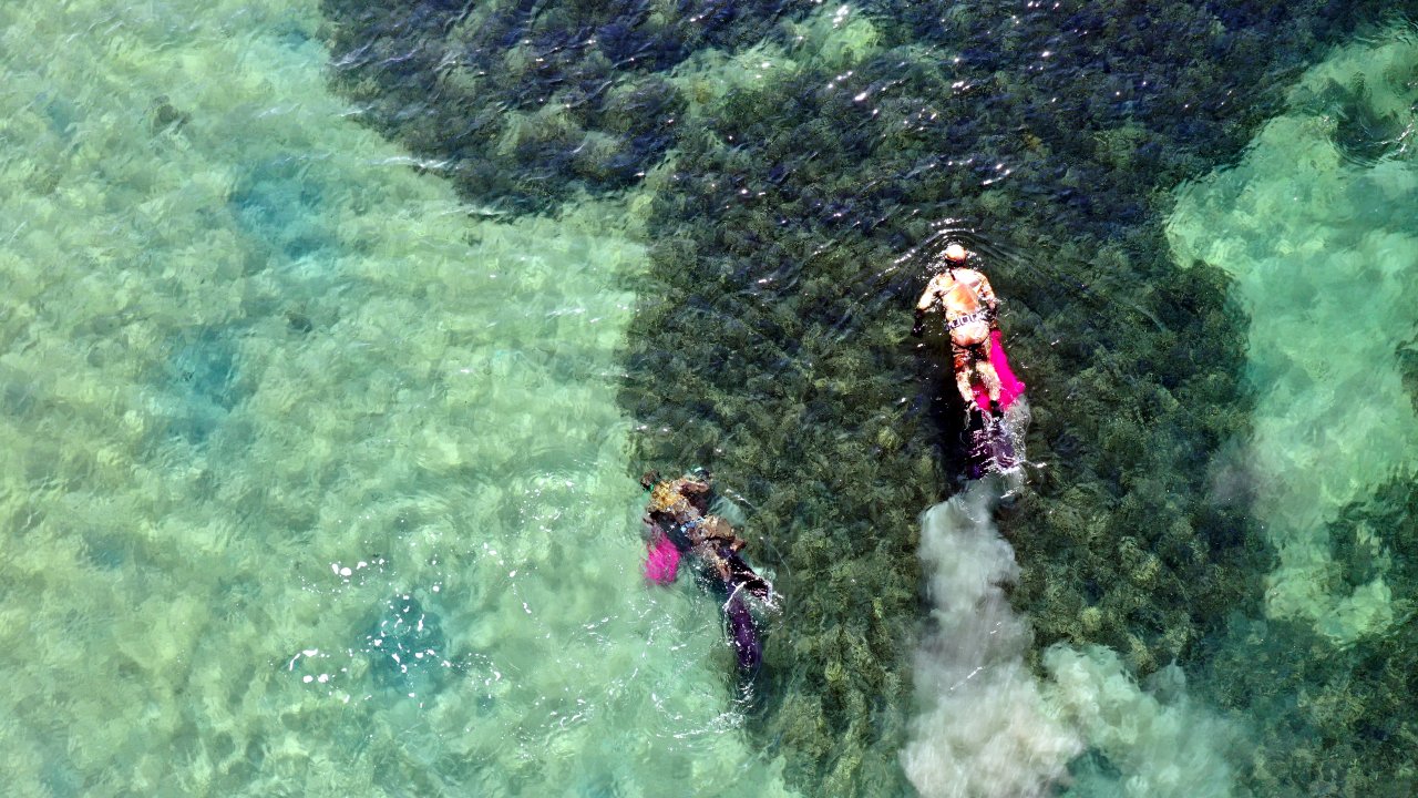 Bodrum'da dalgıçlar denizin dibini temizledi
