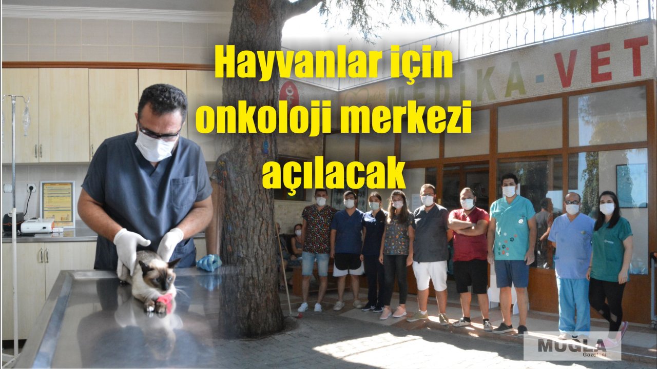 Hayvanlar için onkoloji merkezi açılacak