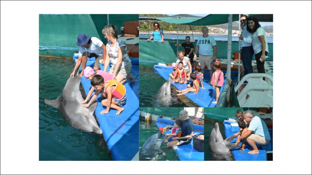 Özel çocuklara yunus terapisi uygulandı