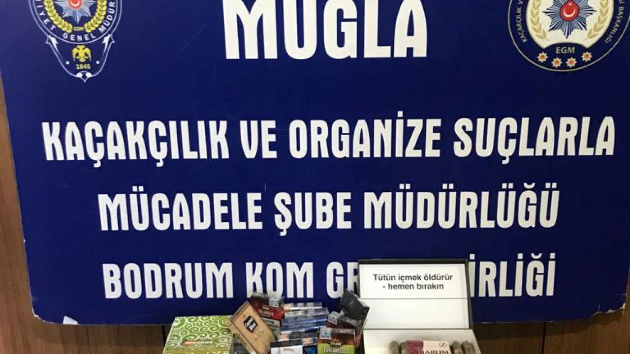 Tarihi eser ve gümrük kaçakçılığı operasyonunda 25 şüpheli yakalandı