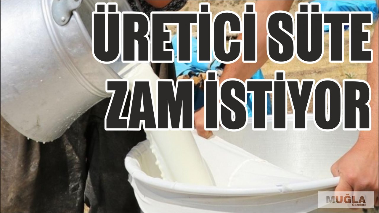 Üretici süte zam istiyor