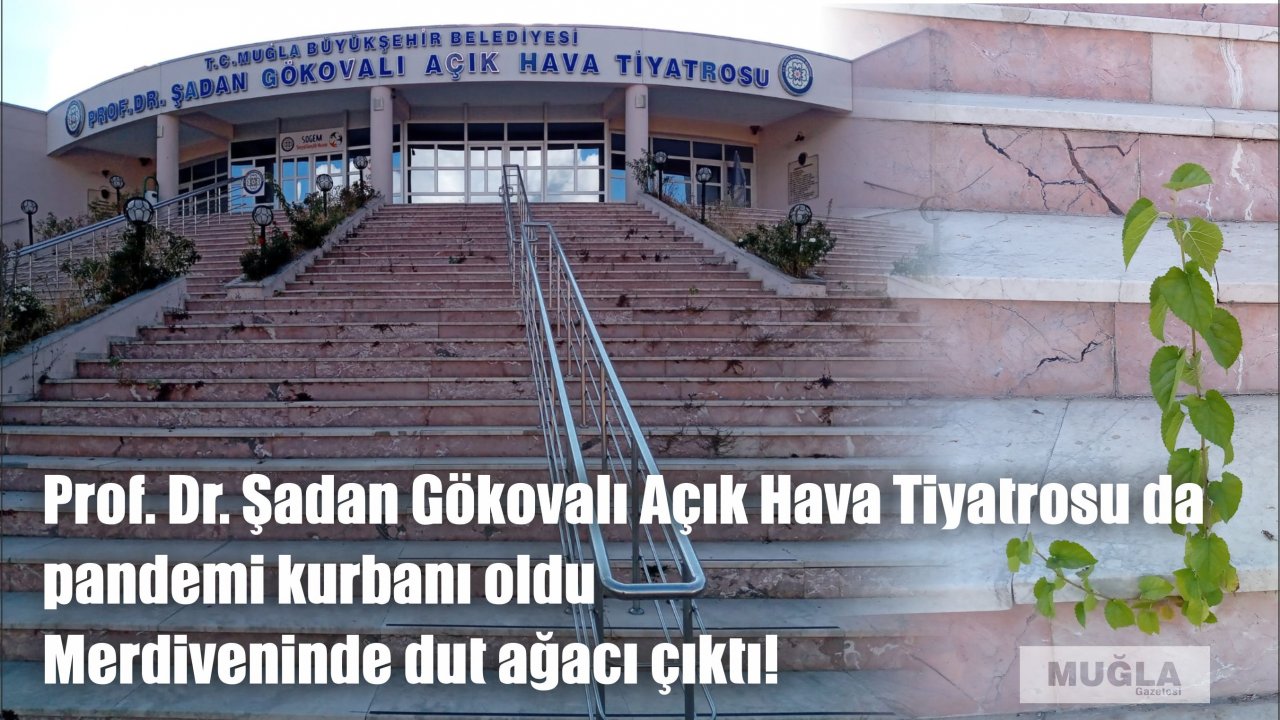 Prof. Dr. Şadan Gökovalı Açık Hava Tiyatrosu da pandemi kurbanı oldu  Merdiveninde dut ağacı çıktı!