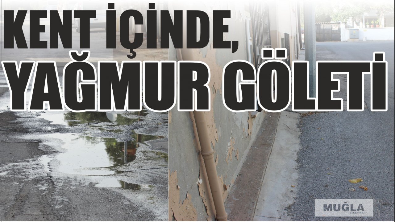 Kent içinde, yağmur göleti