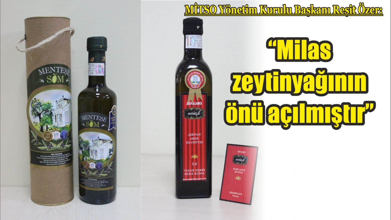 MİTSO Yönetim Kurulu Başkanı Reşit Özer:  “Milas zeytinyağının önü açılmıştır”