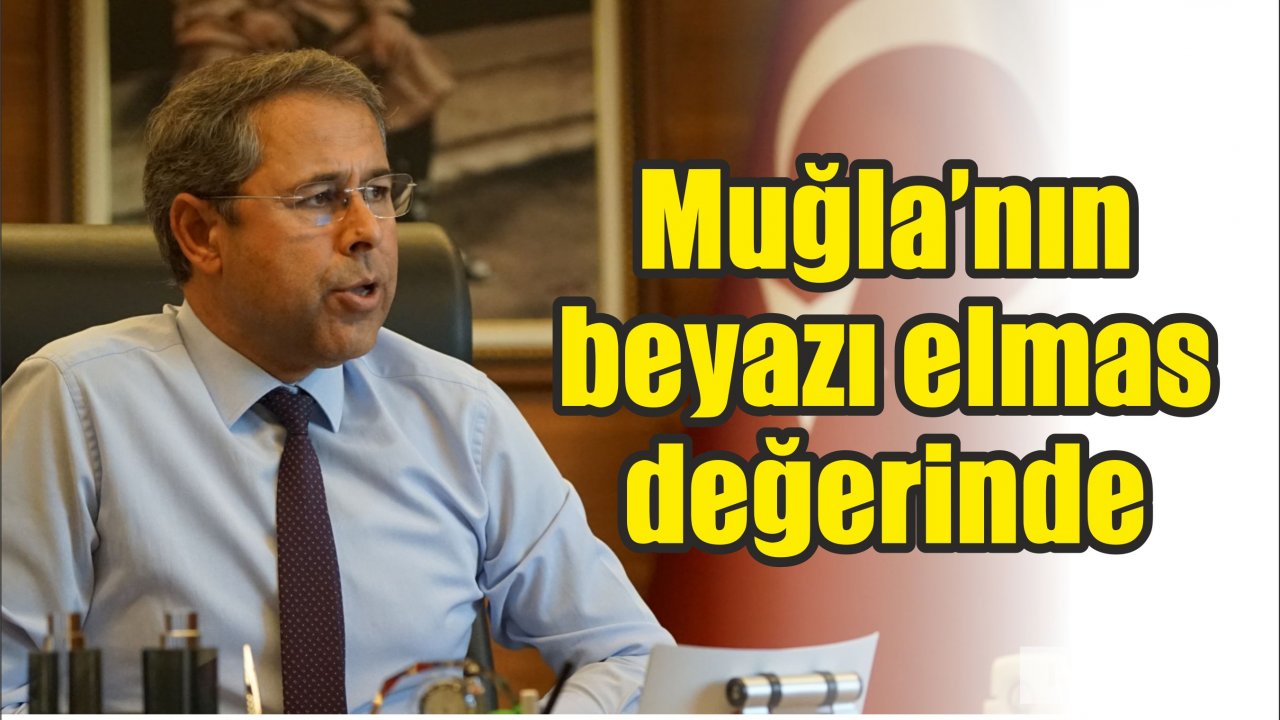 Muğla’nın beyazı elmas değerinde