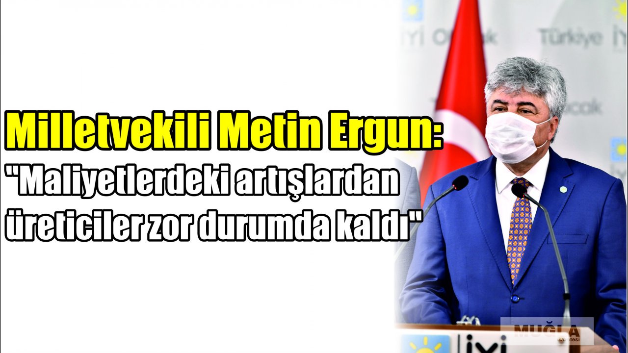Milletvekili Metin Ergun:  