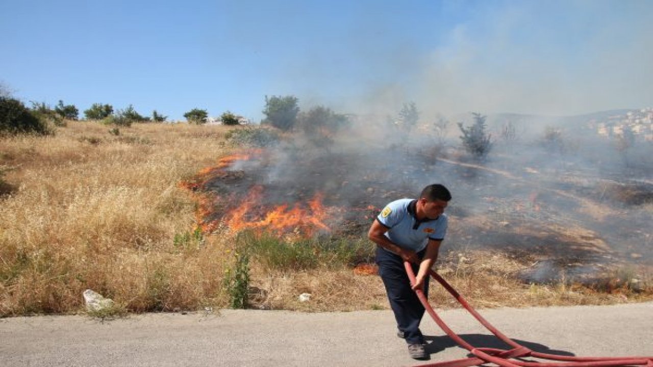 Bodrum’da makilik alanda yangın