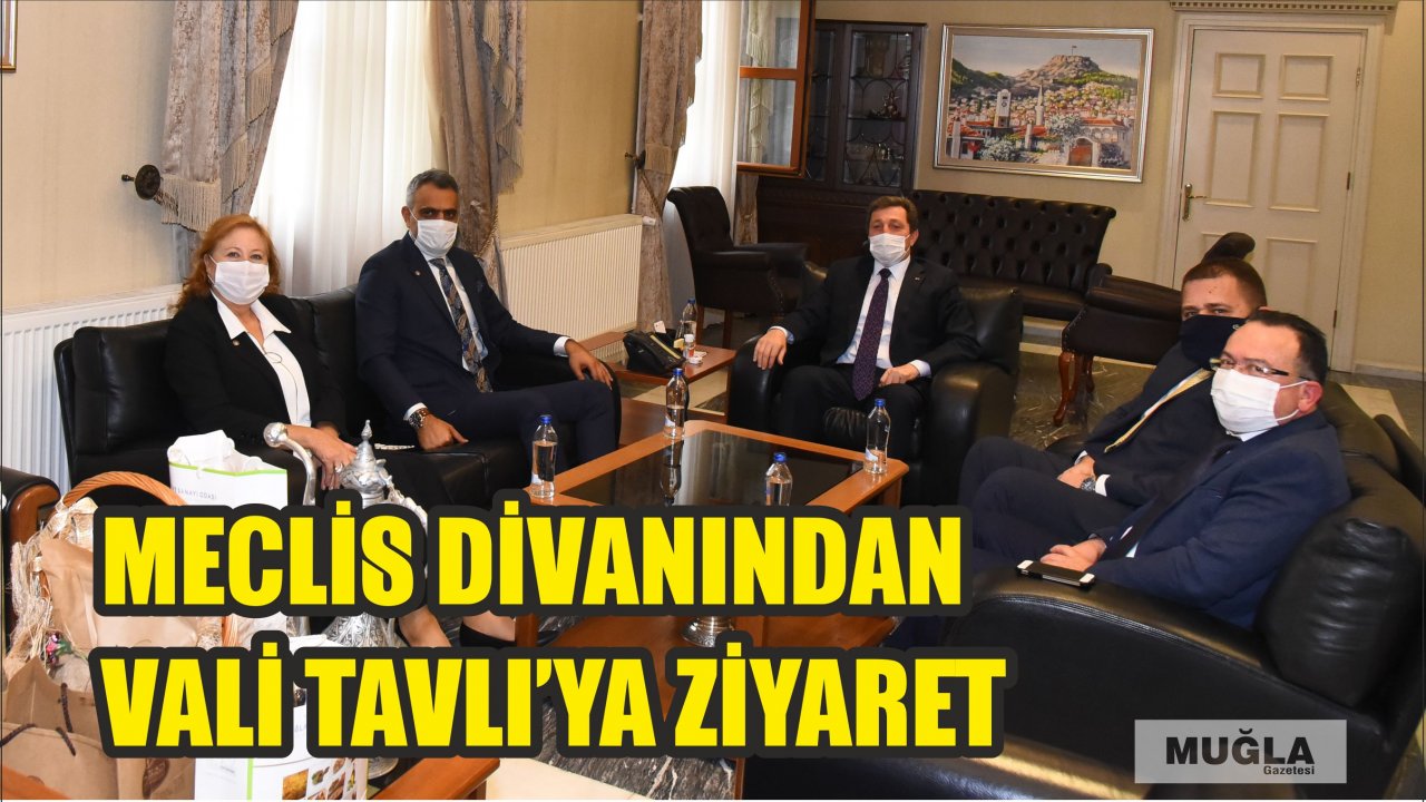 MECLİS DİVANINDAN VALİ TAVLI’YA ZİYARET