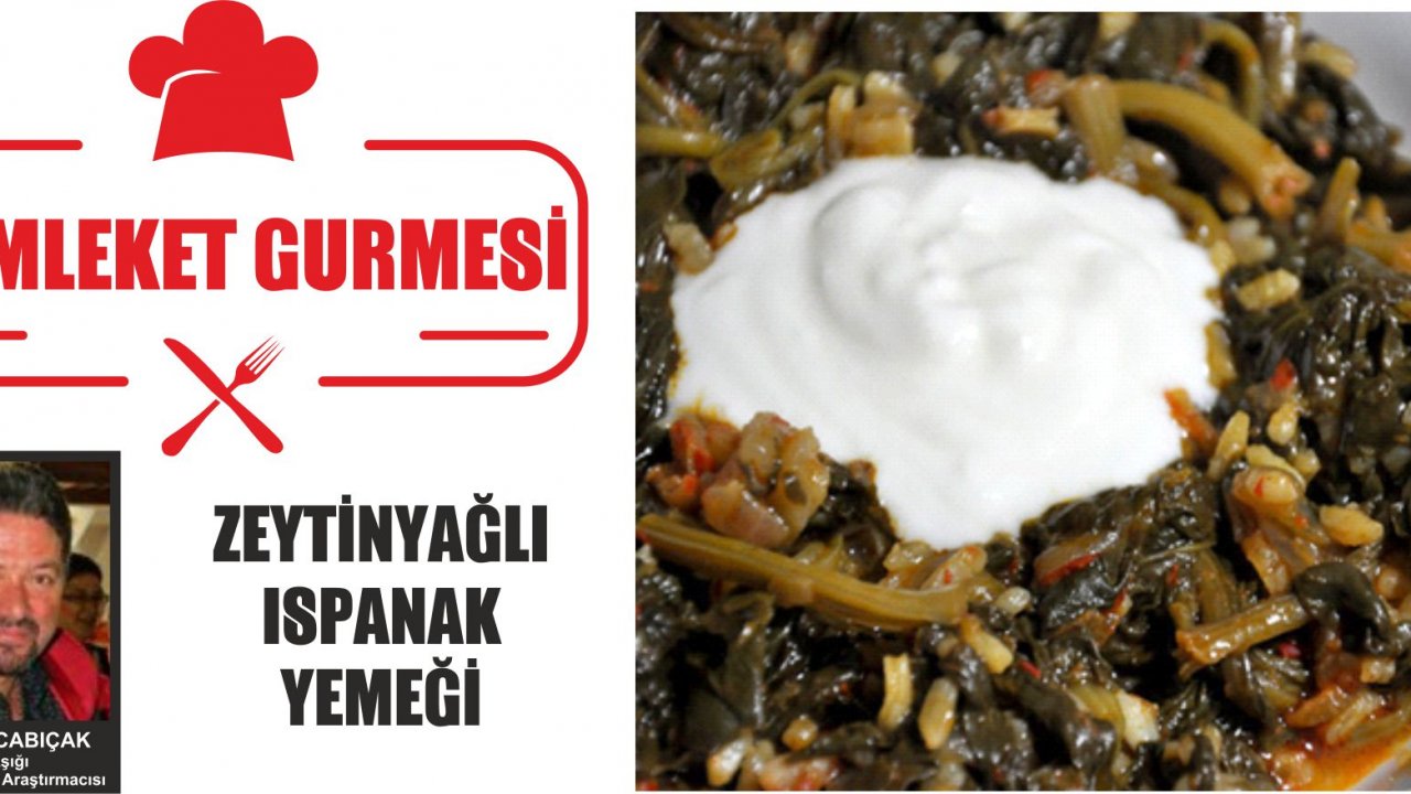 ZEYTİNYAĞLI ISPANAK YEMEĞİ