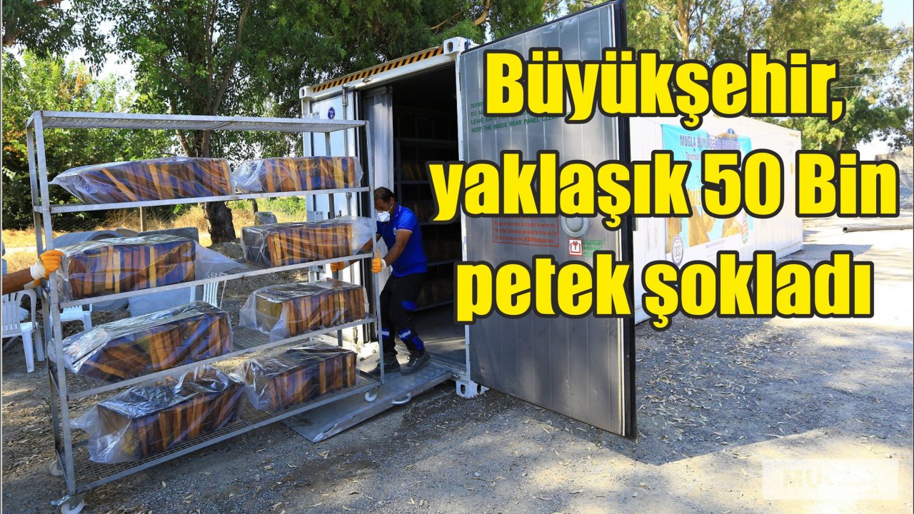 Büyükşehir, yaklaşık 50 Bin petek şokladı