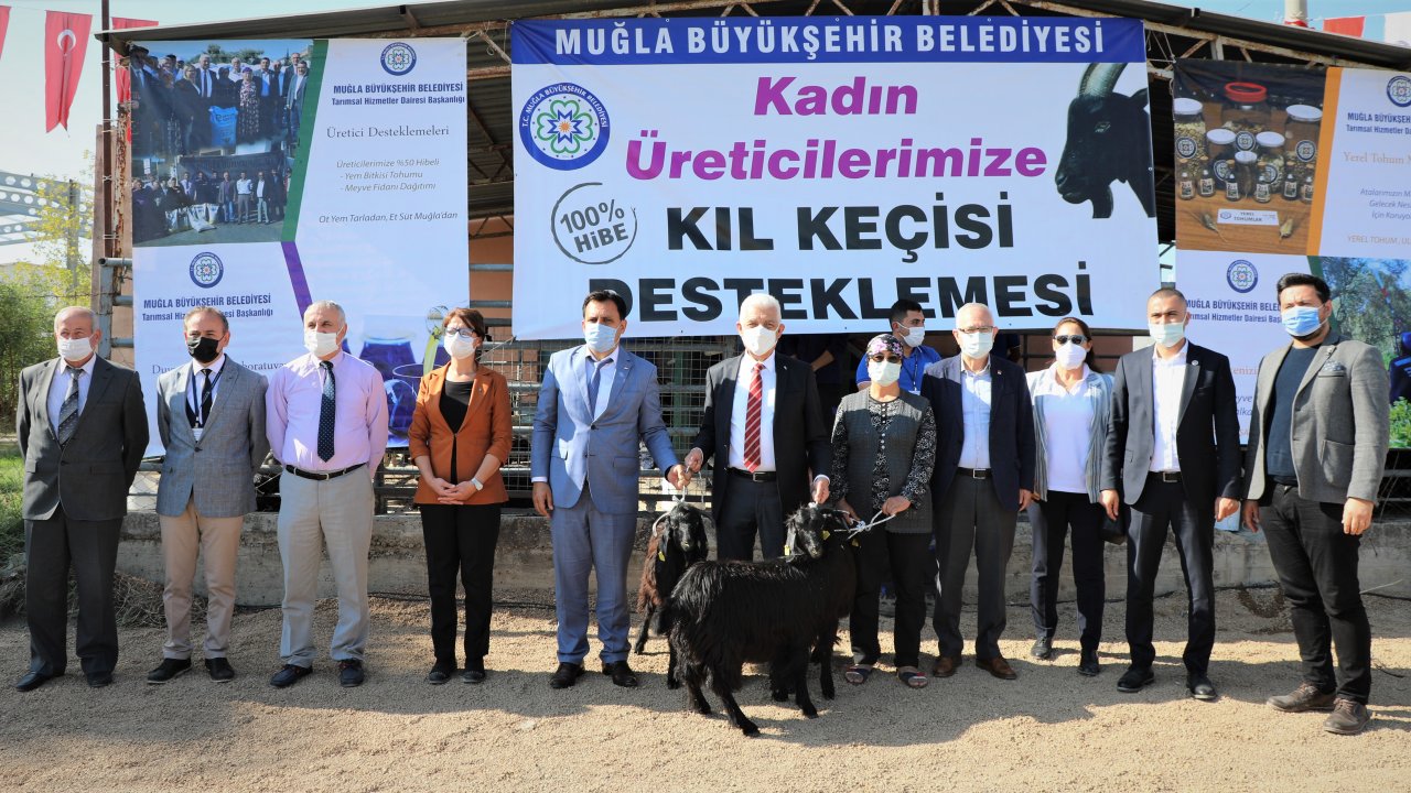 Büyükşehir destekliyor köylü üretiyor