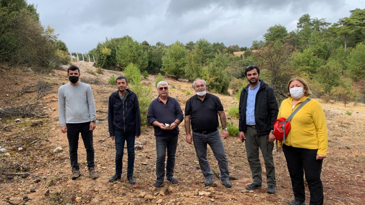 Fosil kazı çalışmaları yeniden başlayacak