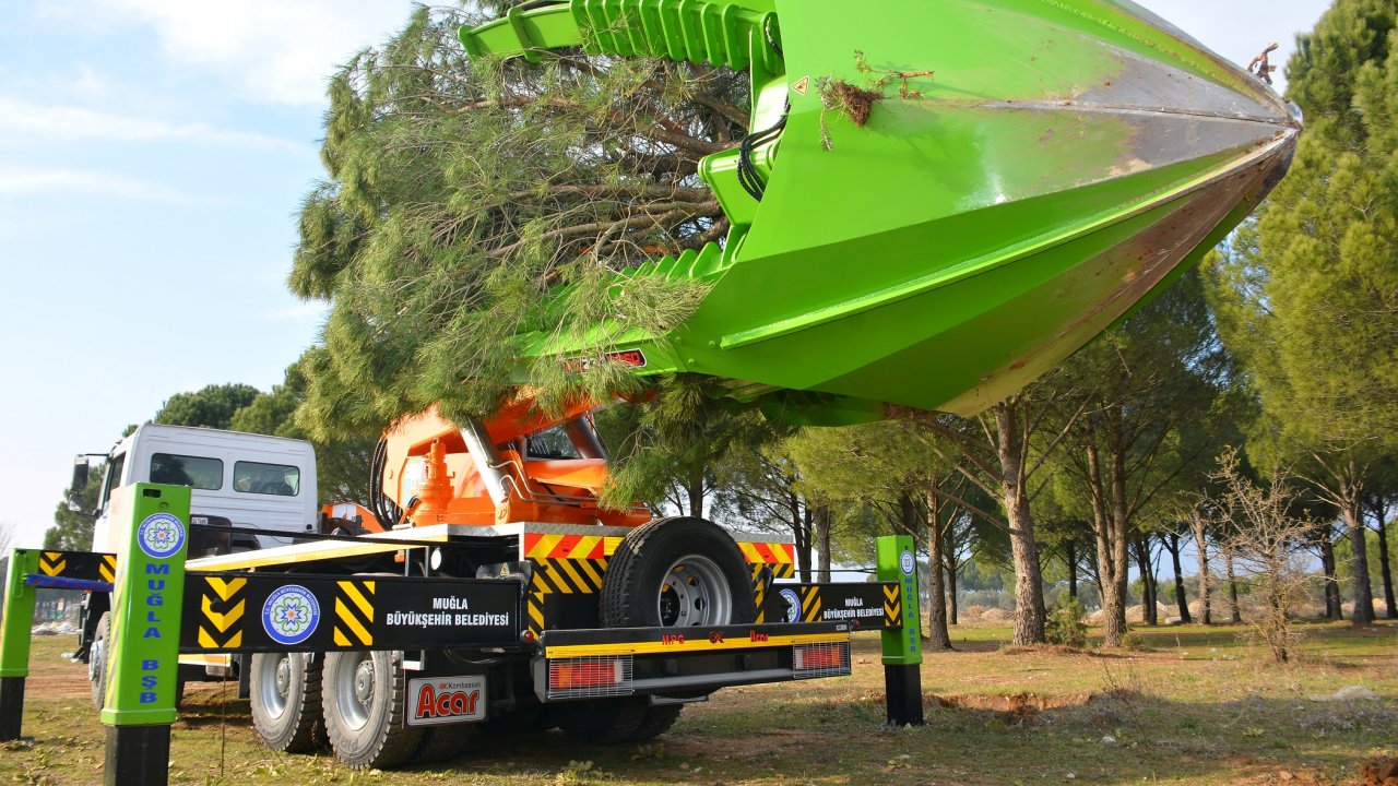 Ağaçları yeni yerlerine nakleden hizmet