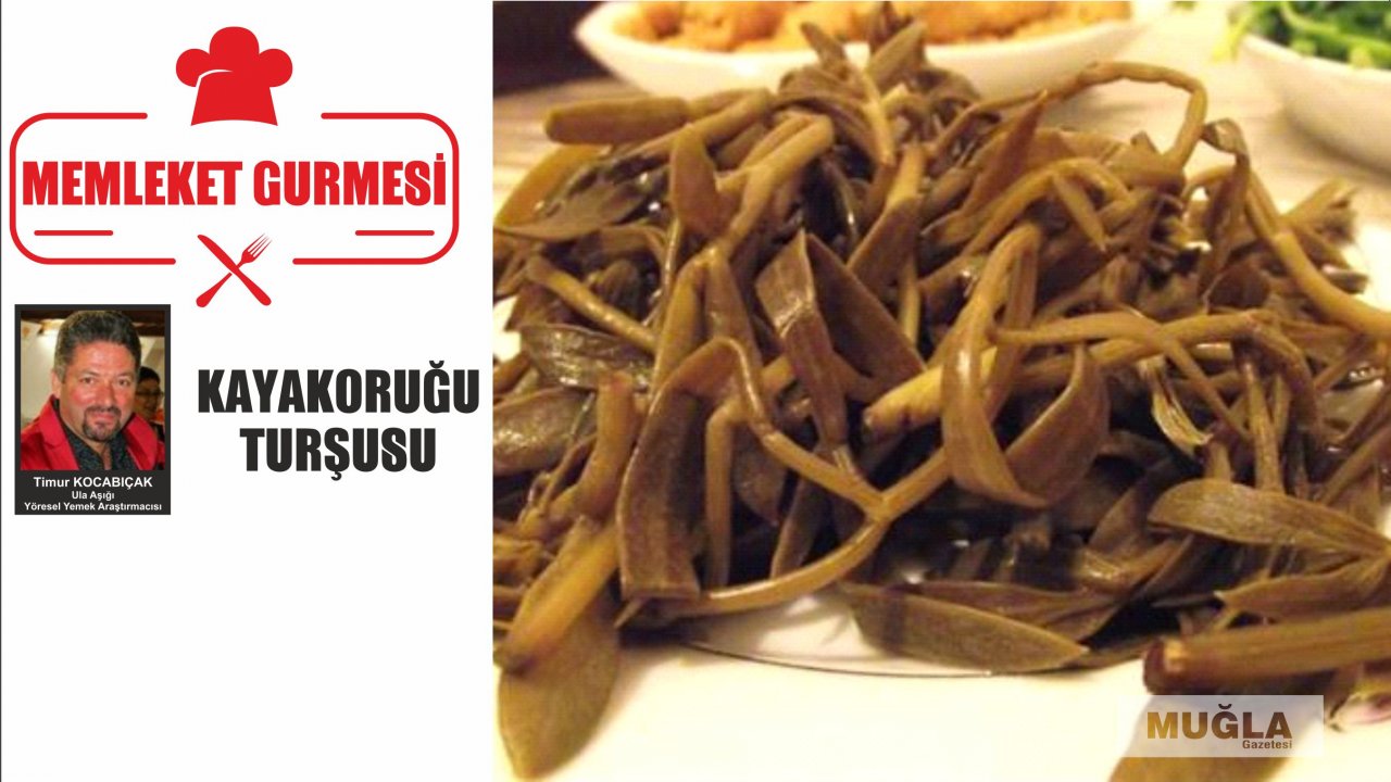 KAYAKORUĞU TURŞUSU