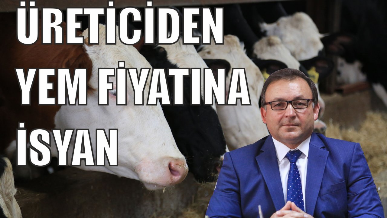 Üreticiden yem fiyatına isyan