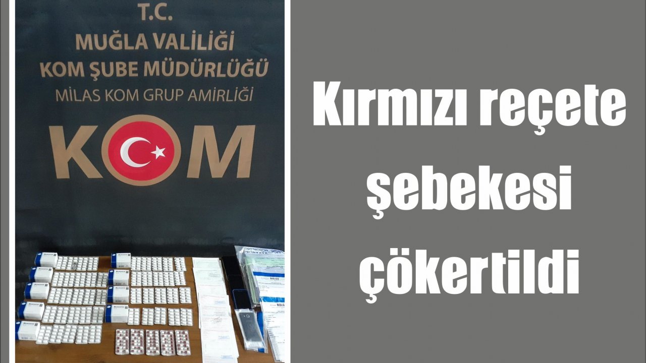 Kırmızı reçete şebekesi çökertildi